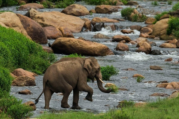 South India Leisure Trips