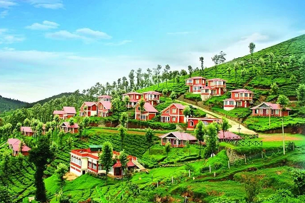 Coimbatore Local Taxis