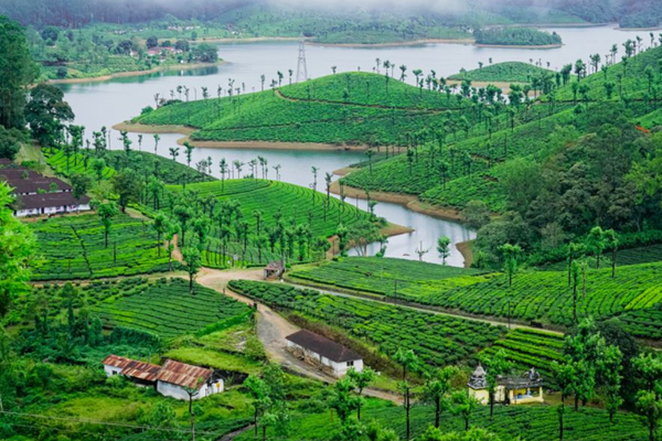 Best Kodaikanal Tour Planners